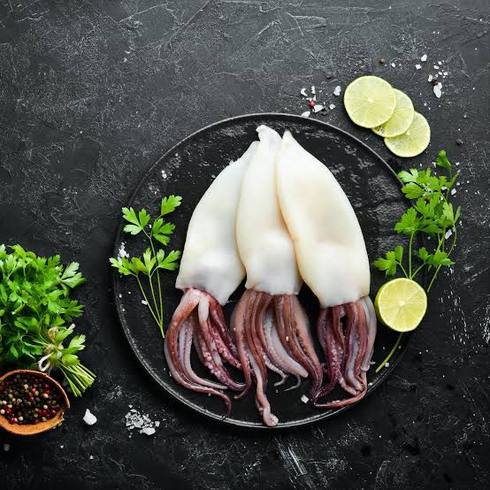 CLEANED CALAMARI SQUID