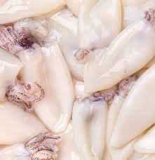 Cleaned Calamari – Patagonian, C5 Grade